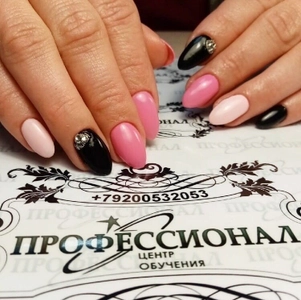 Профессионал (Учебный центр )