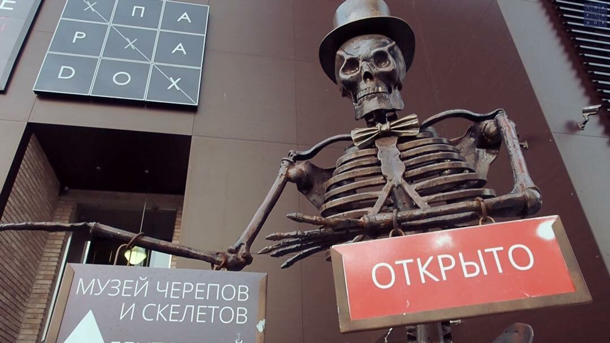 Музей черепов и скелетов (Музей )