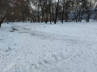 парк Причудливых форм (Парк культуры и отдыха )