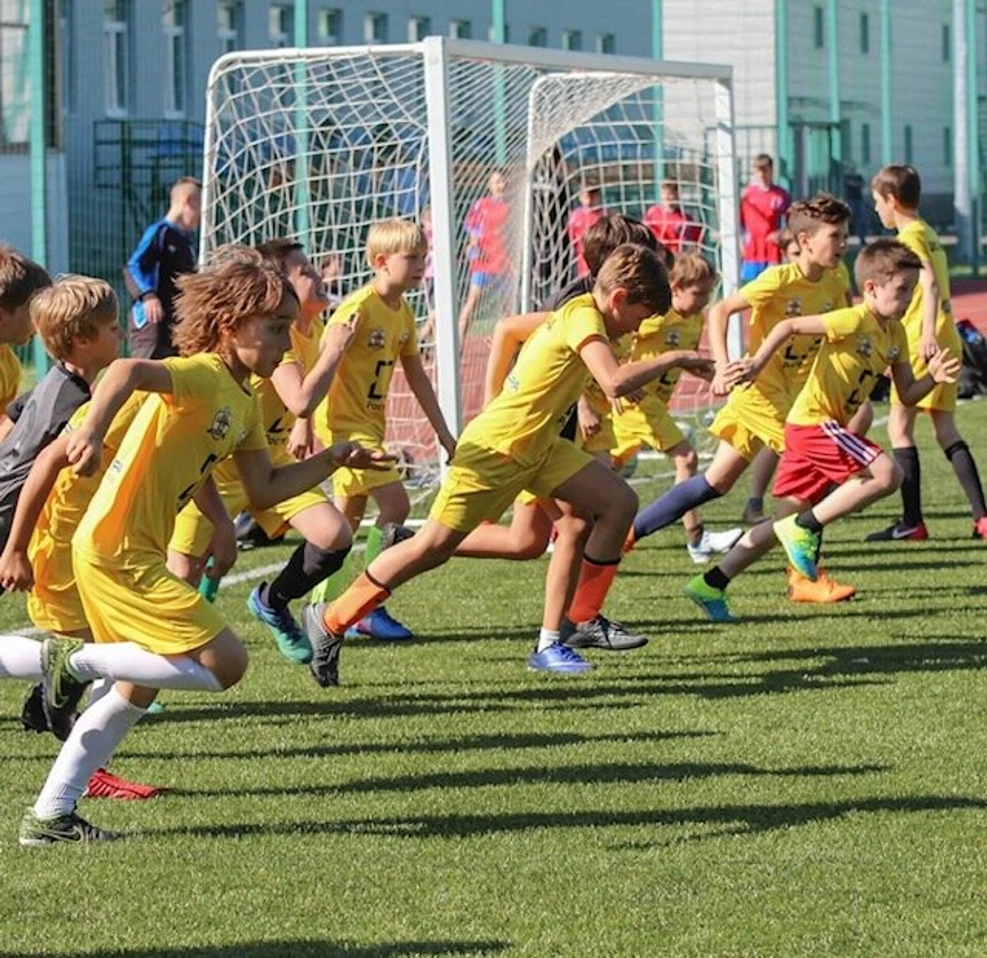 Школа мяча (Спортивная школа )