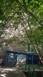 Дети-Детям филиал ГБУ г. Москвы МЦ Галактика (Клуб для детей и подростков )