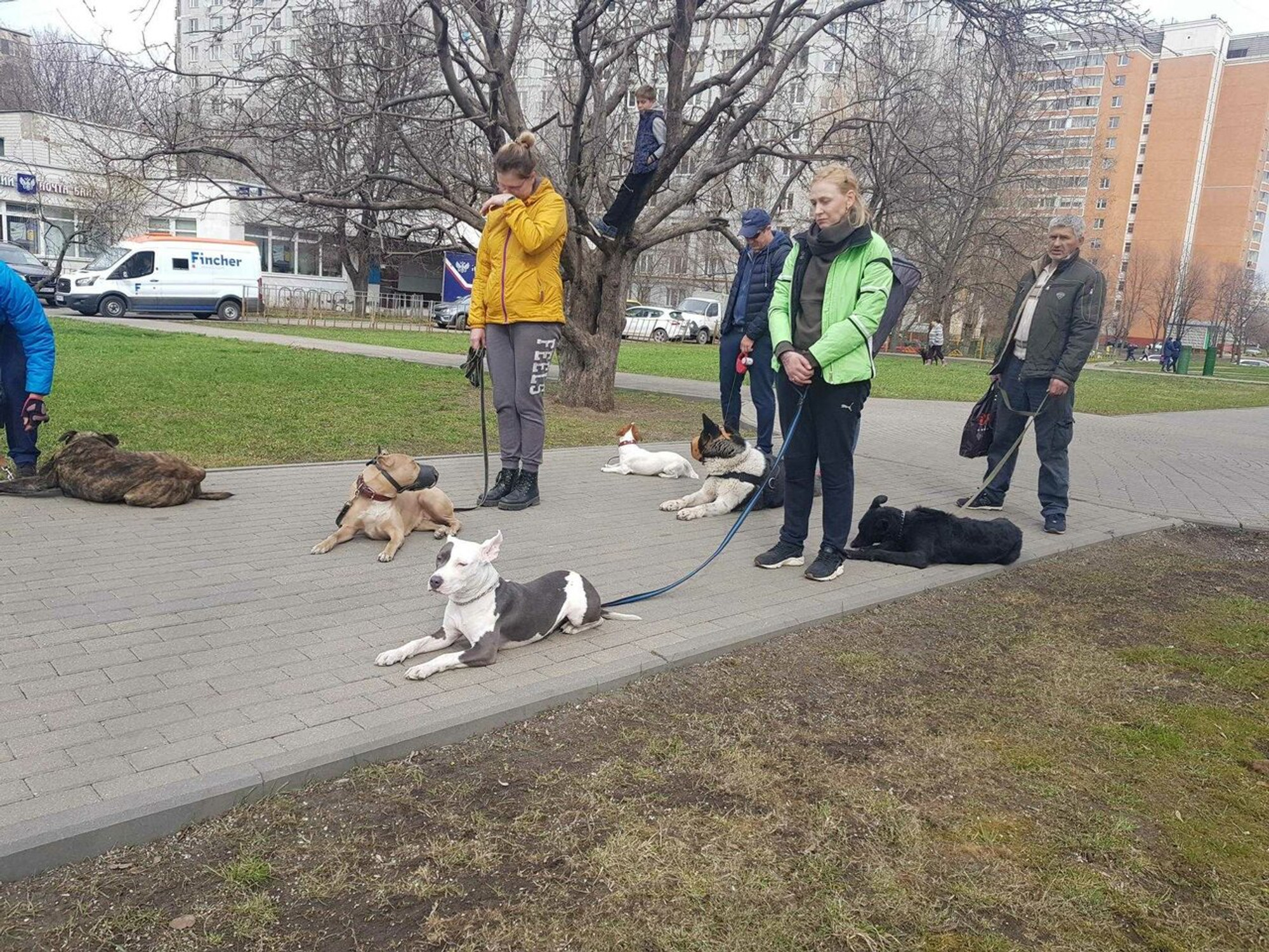 Изображение галлереи