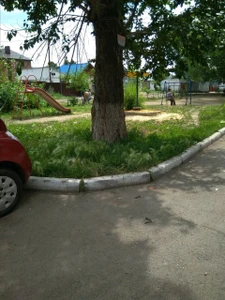 Детская игровая площадка (Детские игровые залы и площадки)