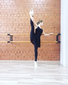 Pas de Danse (Школа танцев )