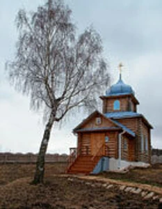 Церковь Андрея Первозванного в Большой Пудге (Православный храм)