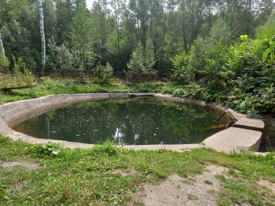 Гурман (Кафе)