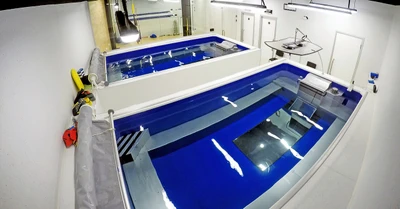 МайСвим (Спортивная школа)