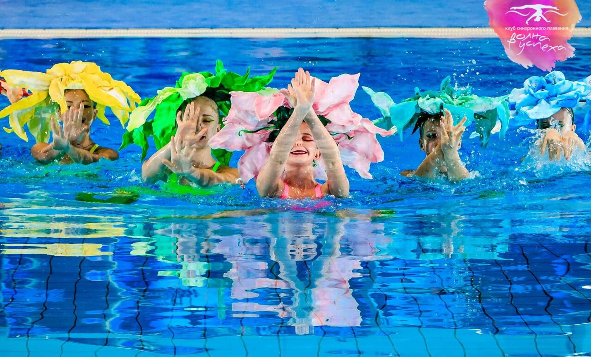 Волна Успеха (Спортивная школа )