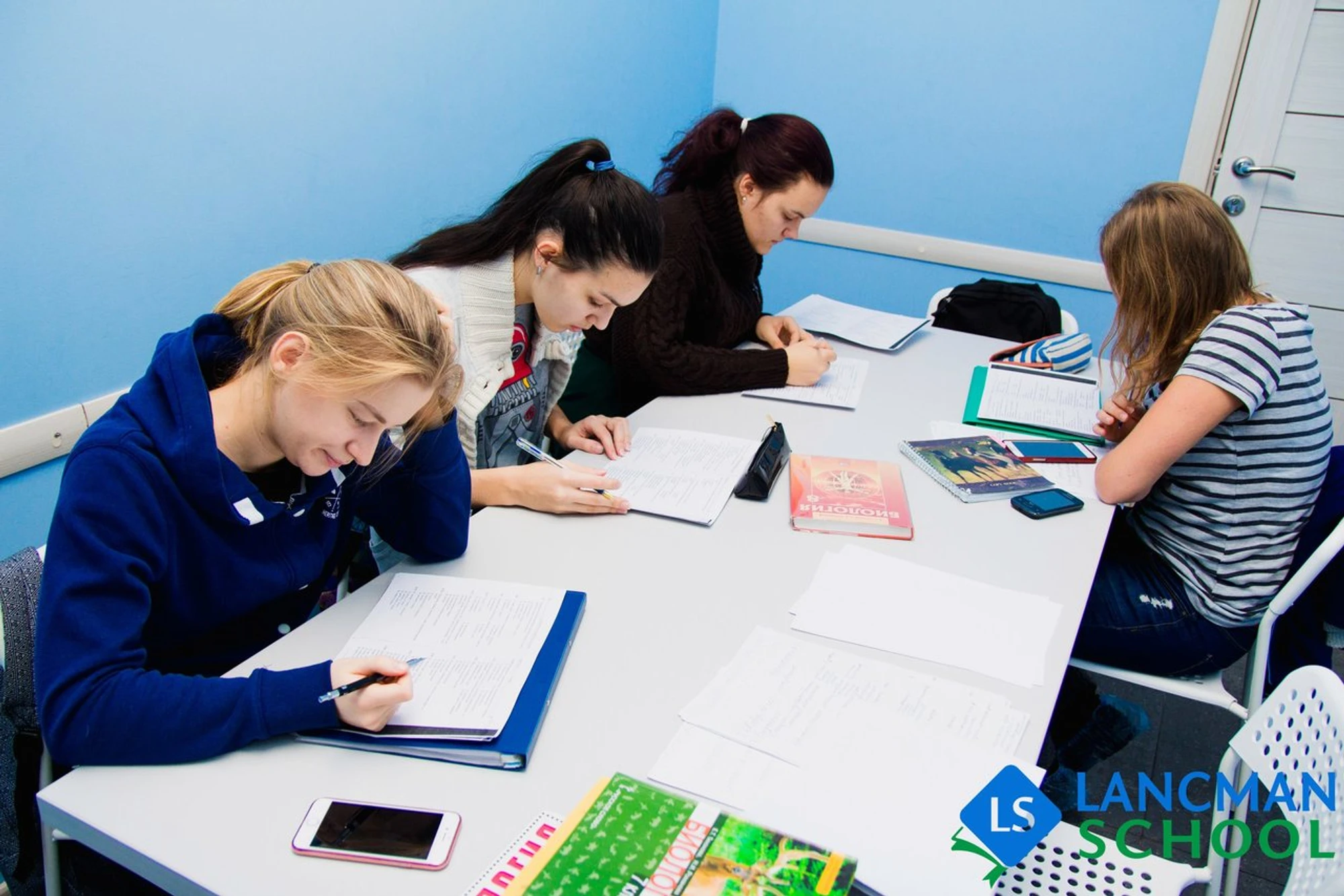 Lancman School (Услуги репетиторов )