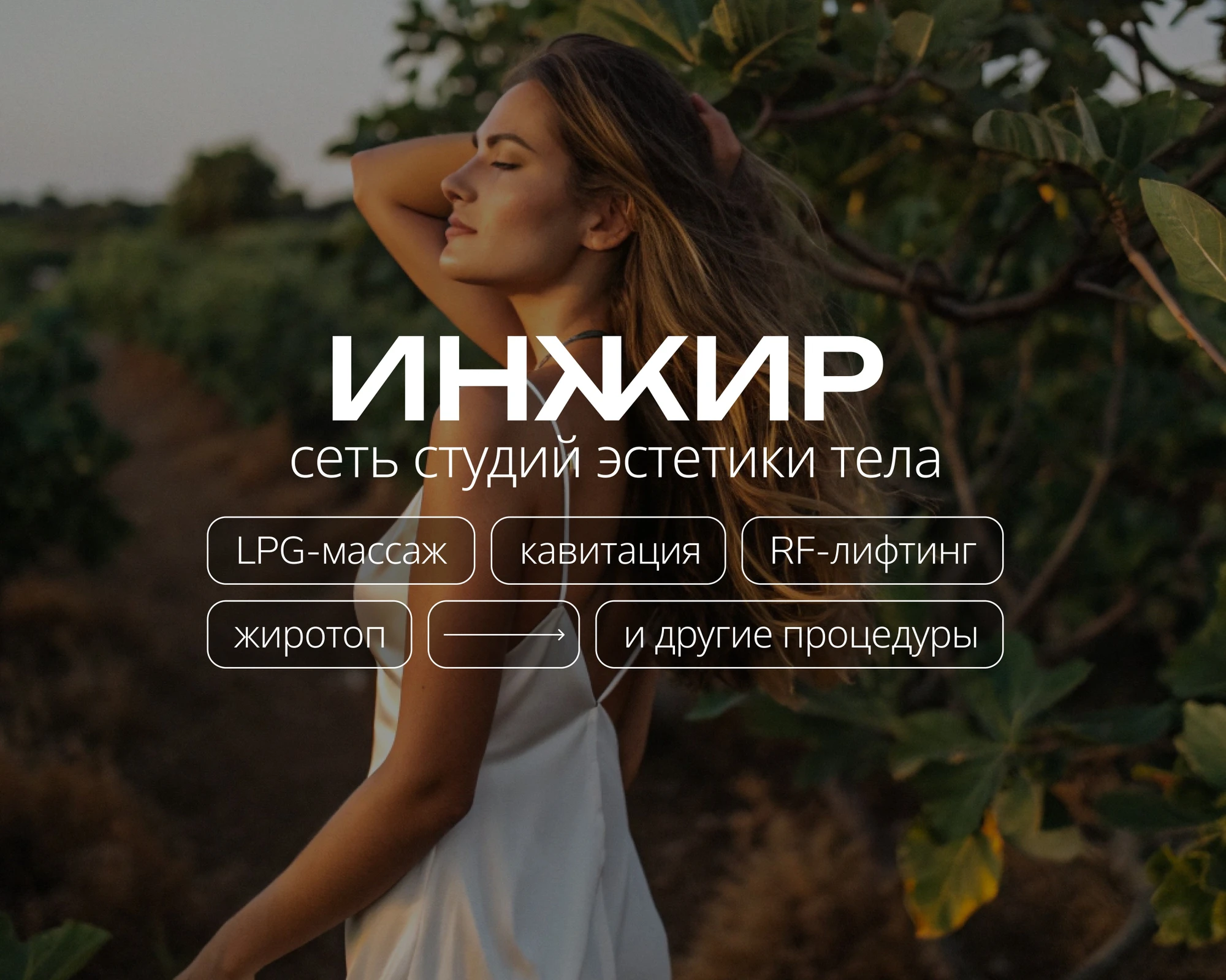 Изображение галлереи