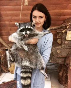 "Обнимашки" в ТК "Гостиный Двор", контактный зоопарк