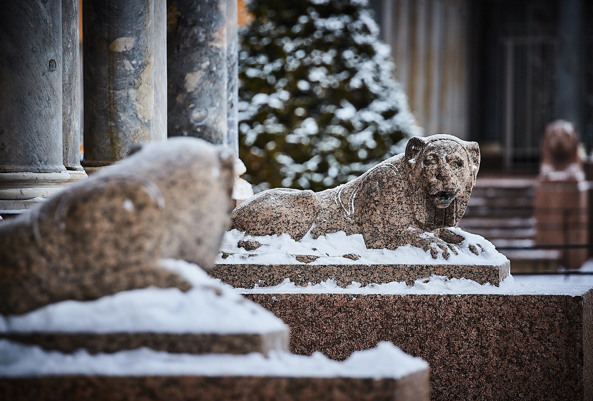 Фото:&nbsp;vk.com/peterhof_museum