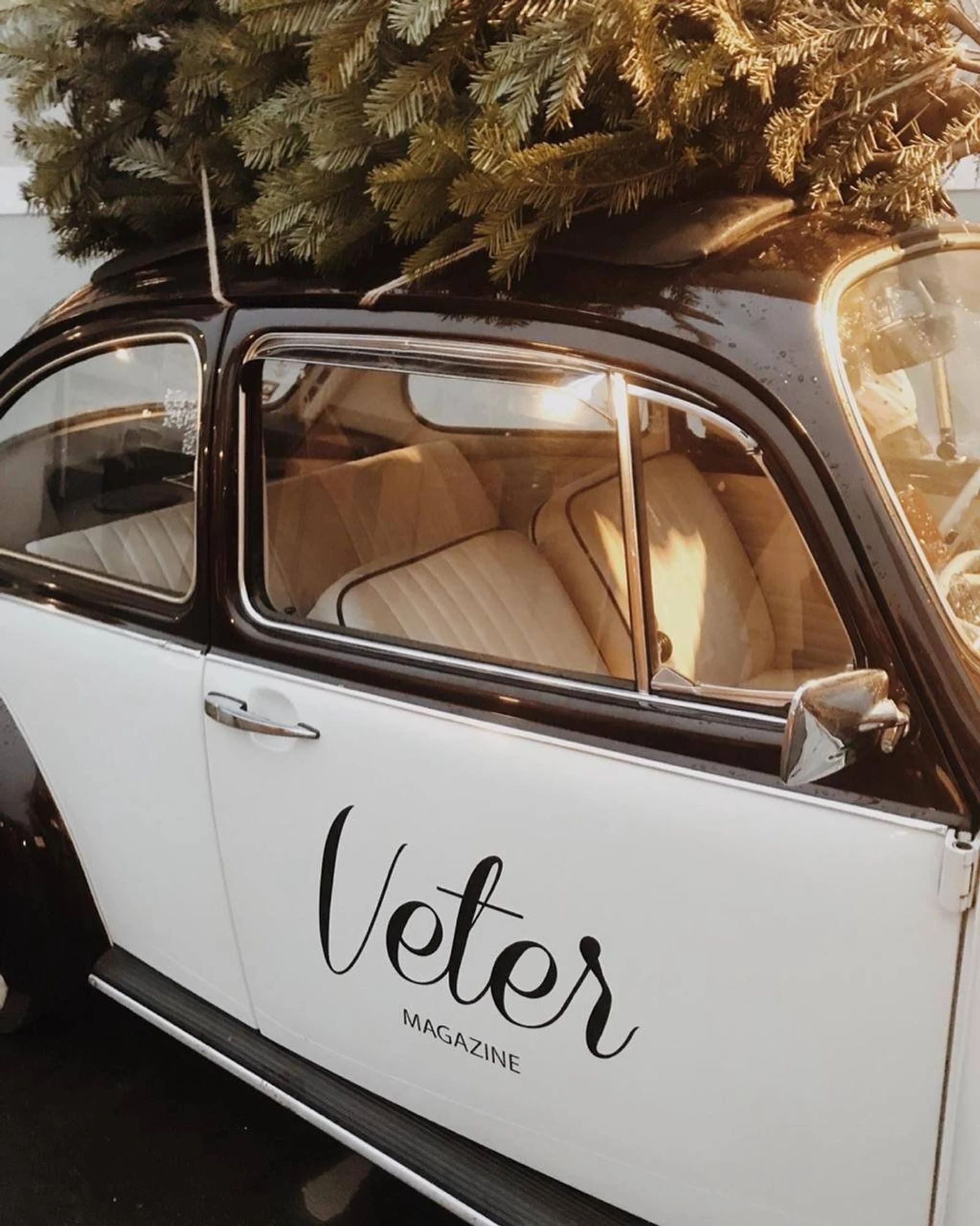 Фото: veterfest