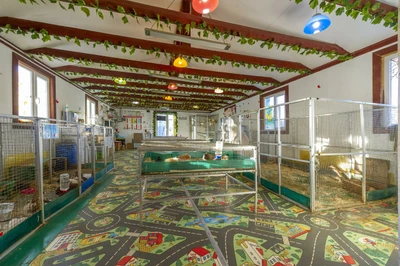 "ZOO-mini", контактный зоопарк в г. Реутов