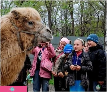 Зоопарк на Садгороде в пригороде Владивостока