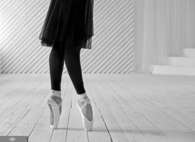 Danse Classique, балетная студия, классический танец и балет для детей от 3 лет и взрослых в Нижегородском районе, Нижний Новгород 