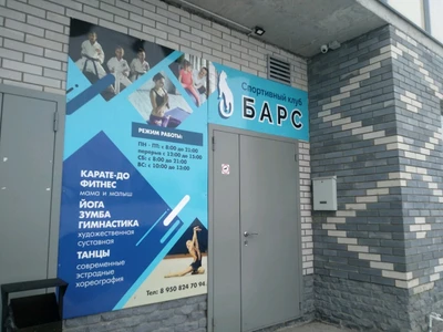 Сопртивный Семейный клуб Барс (Спортивный клуб, секция )