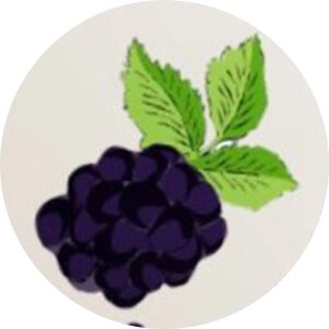 Ежевика (Салон красоты)