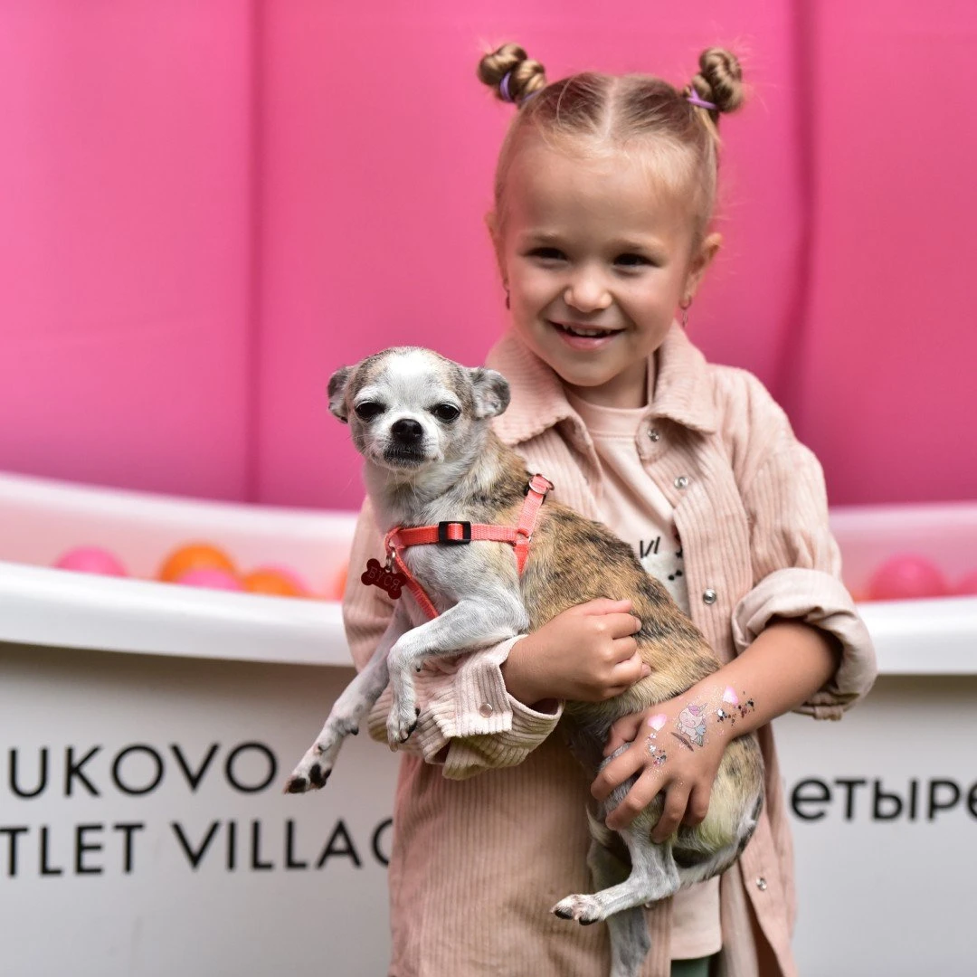 Пикник Pets&Friends для питомцев и их владельцев во Vnukovo Outlet Village
