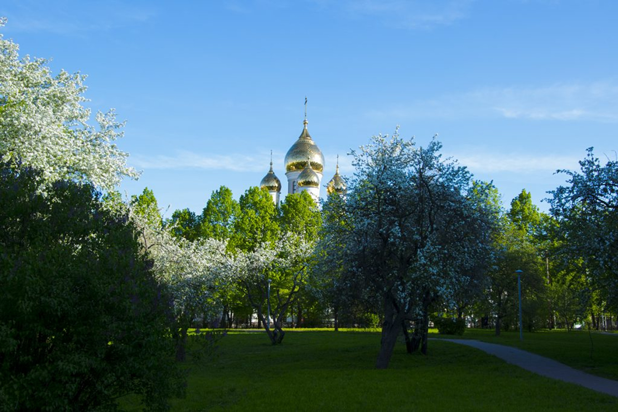 Изображение галлереи