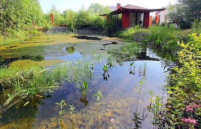 Бруель (Гостиница)