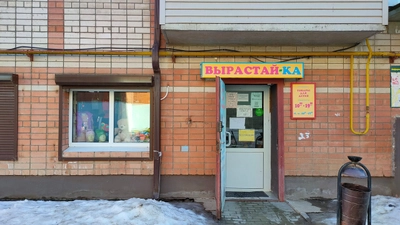 Вырастай-ка (Товары для праздника )