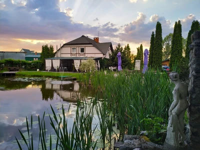 Зеркальный карп (Гостиница)