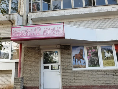 Рыжий Конь (Конная амуниция )