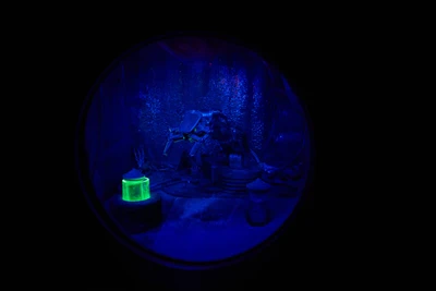 "Experiment Quest", квесты