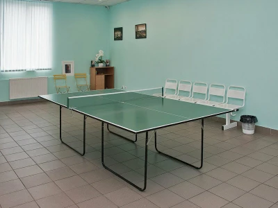 TT-game39 (Спортивный клуб, секция)