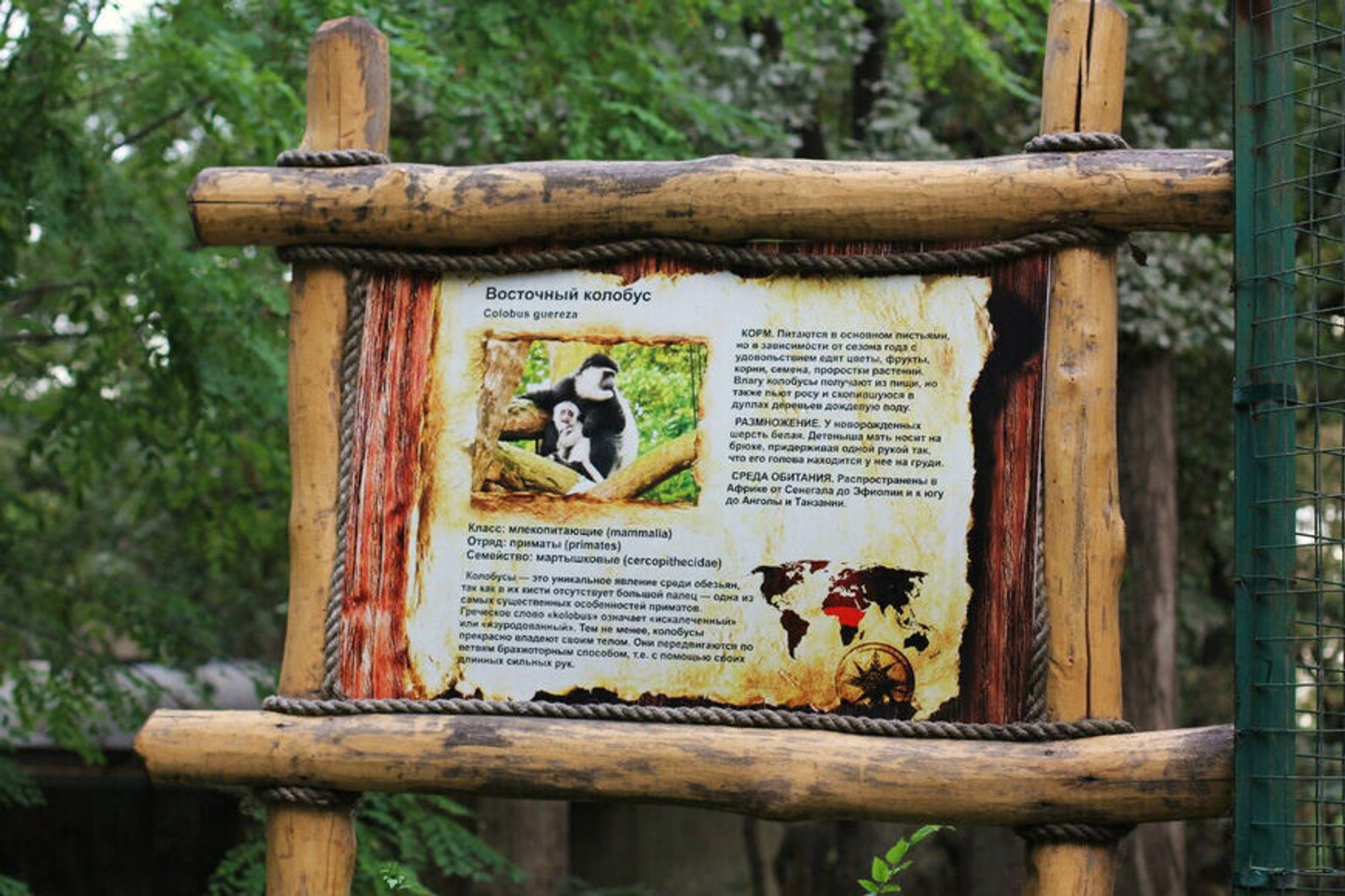 Купить Билет В Сафари Парк Краснодар