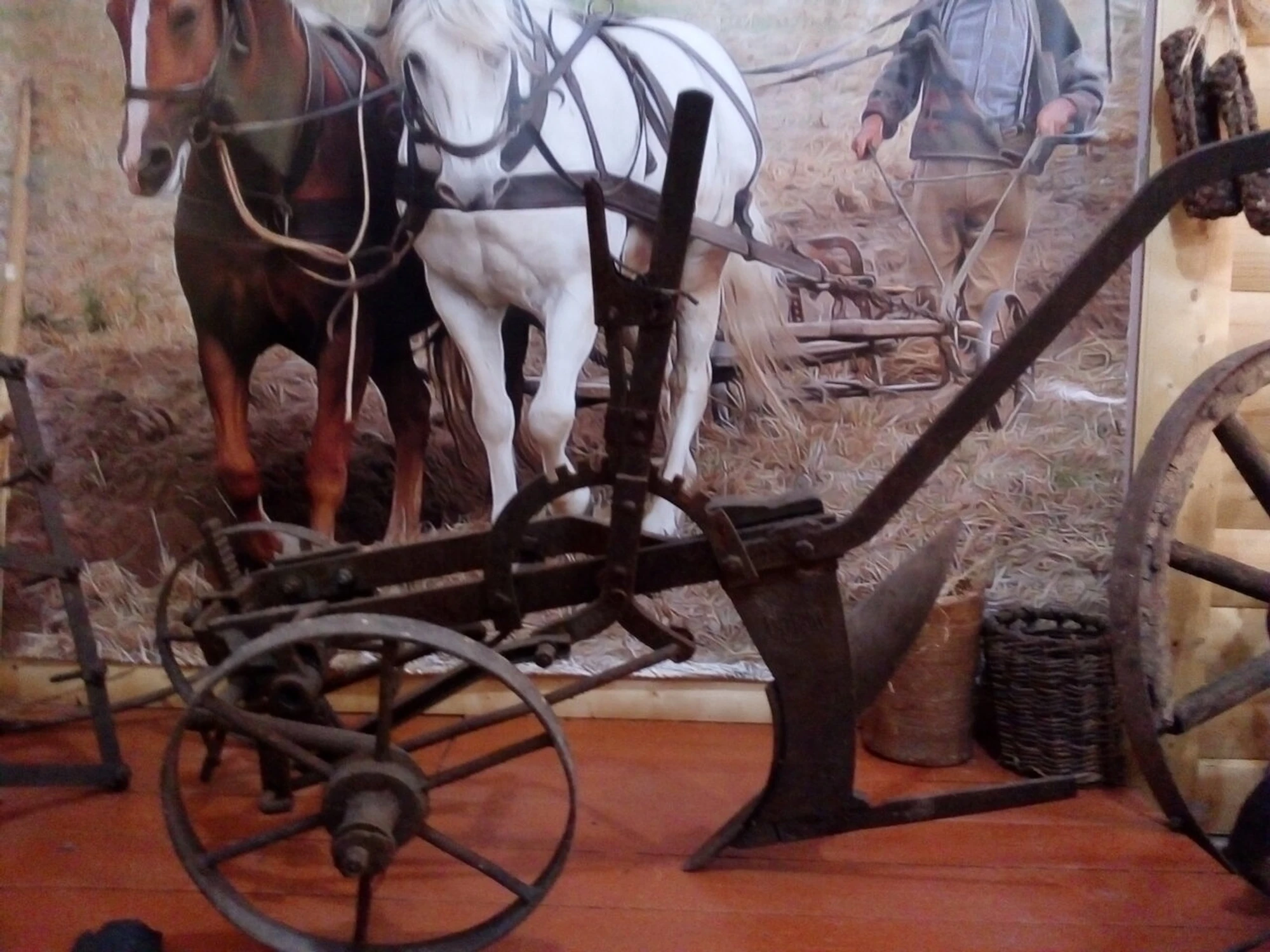 Краеведческий музей (Музей)