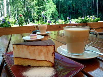 Кафе с летней верандой на территории базы отдыха "Весна" в Новоуральске