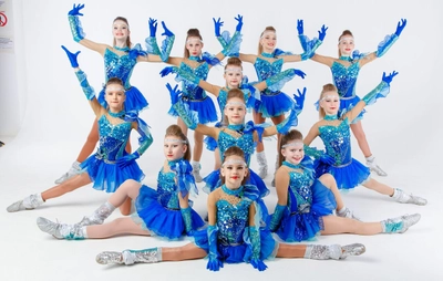 СК Феникс (Спортивный клуб, секция )