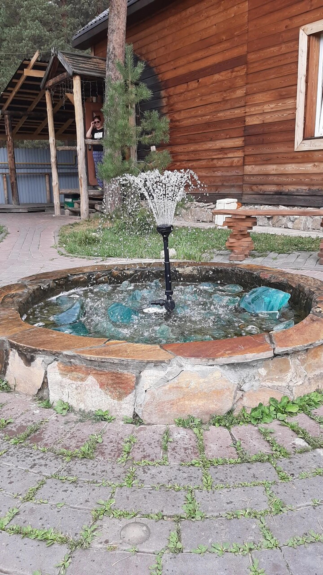 Magic Wood (Турбаза)