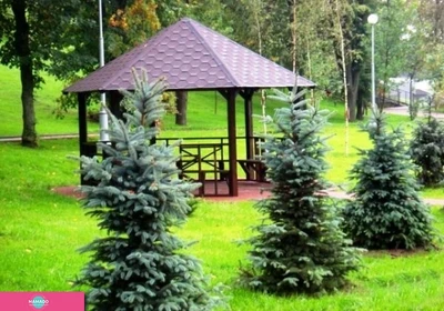 Парк долины реки Химки в СЗАО