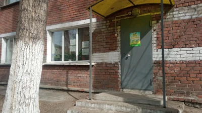 Панда (Детский сад)