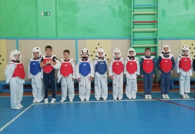 Костромская городская федерация тхэквондо (Спортивный клуб, секция)