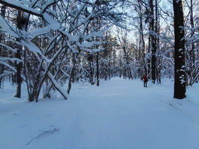 Лыжная база в селе Ромашково