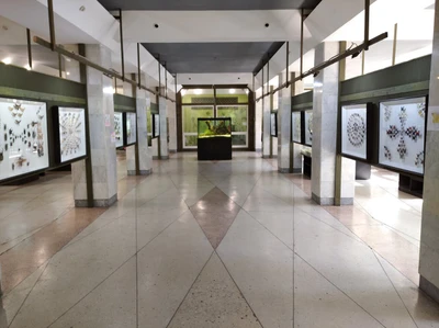 Музей насекомых Экзотариум