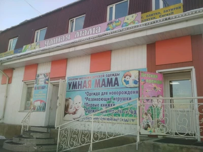 Умная мама (Детские игрушки и игры )