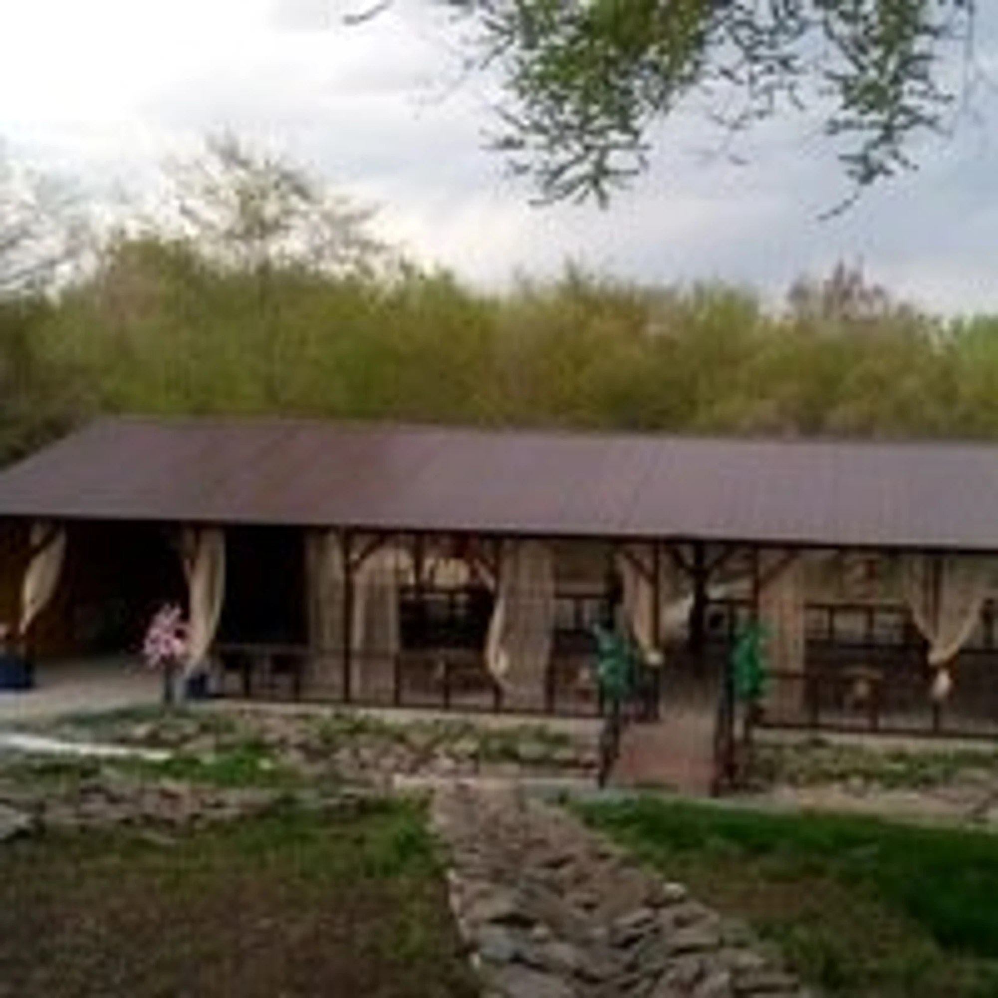 Давид (Кафе)
