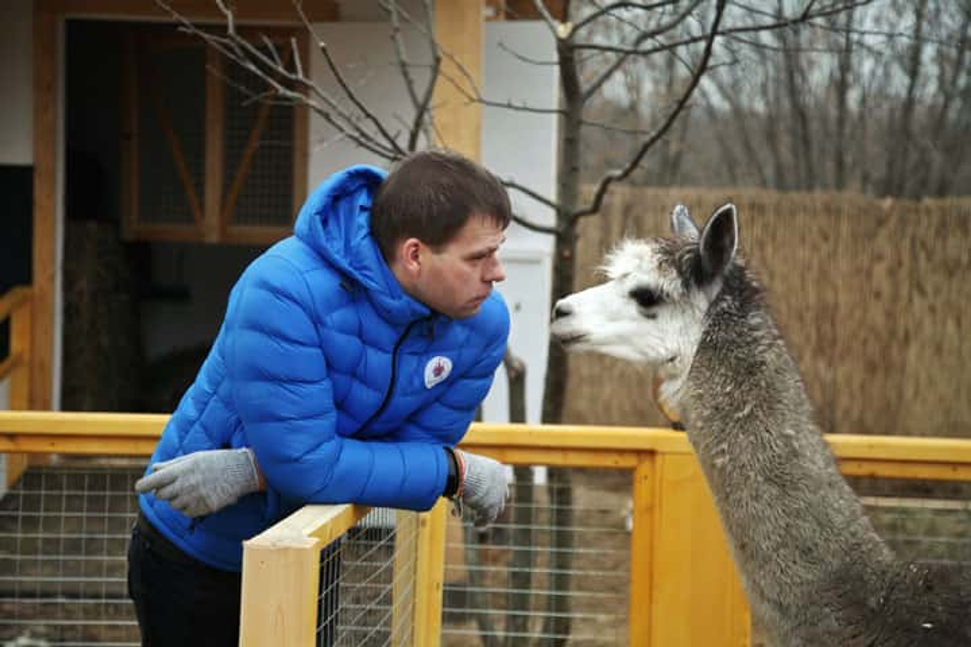 Изображение галлереи