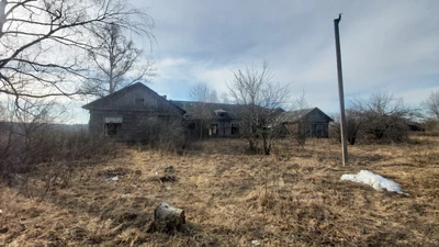 Залужская школа (Начальная школа)