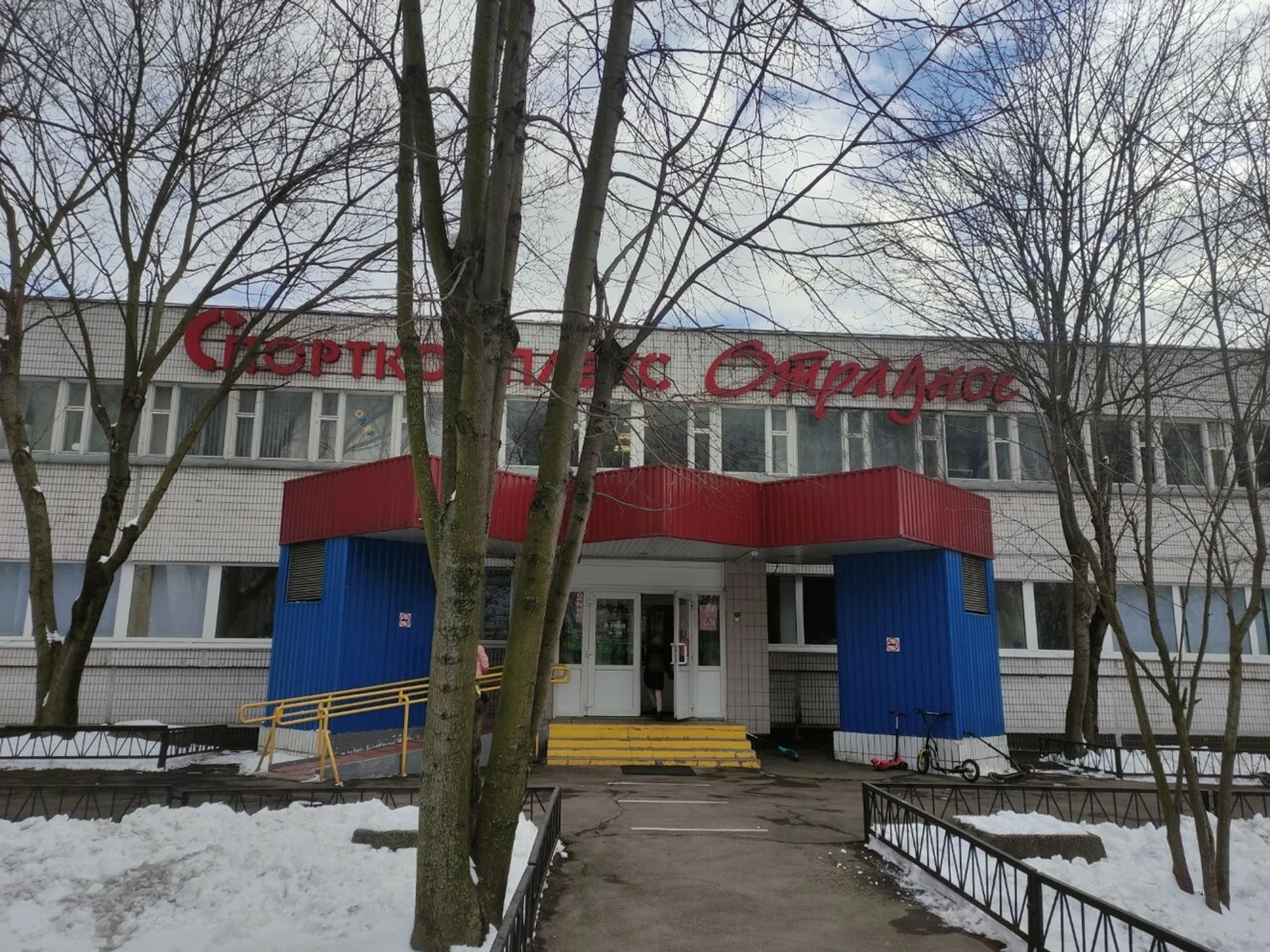 Детский футбольный клуб Викинг (Спортивная школа )