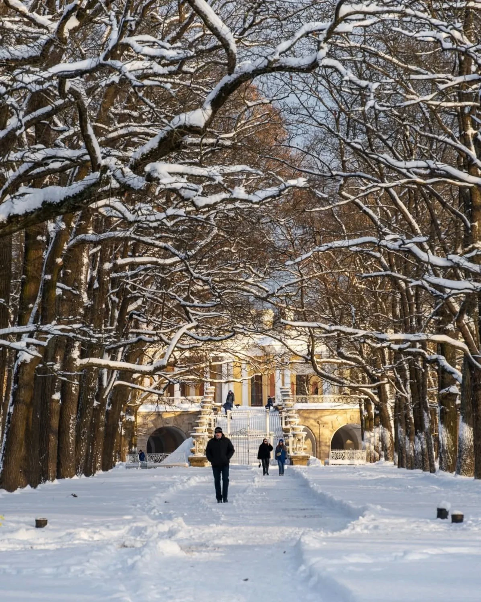Фото:&nbsp;vk.com/tsarskoe_selo_museum