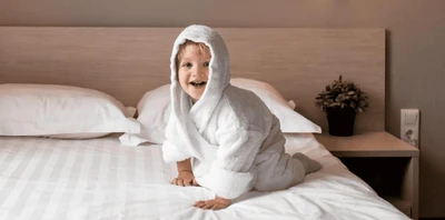 City Hotel Sova, "Сити Отель Сова", отель в деловом центре Нижнего Новгорода