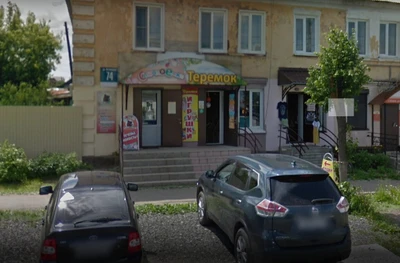 Теремок (Детский сад)