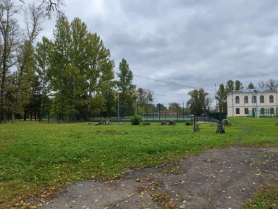 Беговая дорожка (Спортивная база)