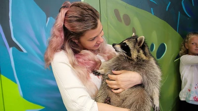 Индивидуальная енототерапия в "Енотовиль"